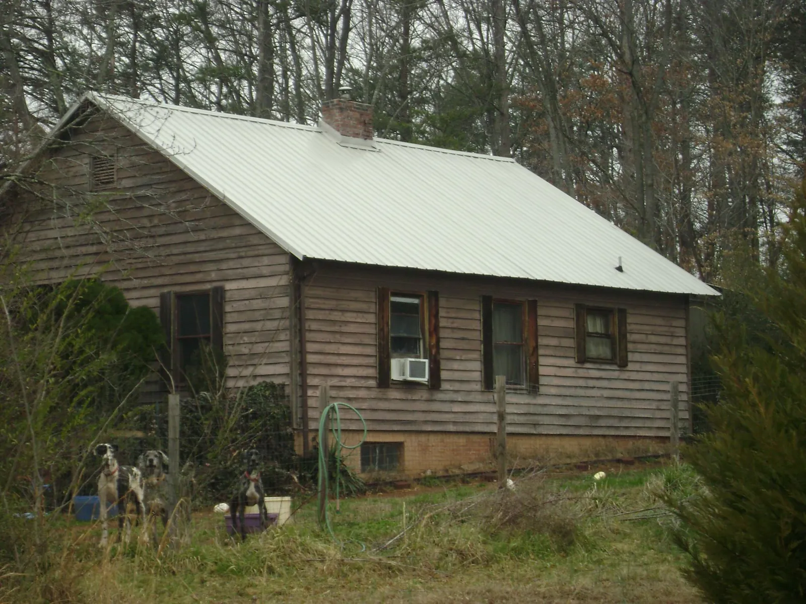 White metal roof on an old wood sided farmhouse, from a Asphalt Shingle Roof Repair job in East Lynne